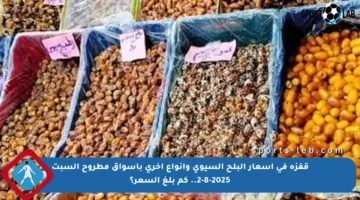 قفزة في أسعار البلح السيوي وأنواع أخرى بأسواق مطروح السبت 2-8-2025.. كم بلغ السعر؟